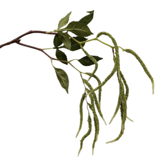 90cm Green Small Amaranthus Branch
