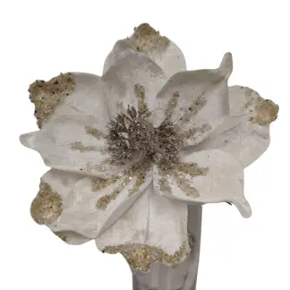 White Velvet Magnolia