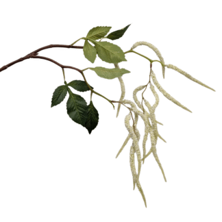 90cm White Small Amaranthus Branch
