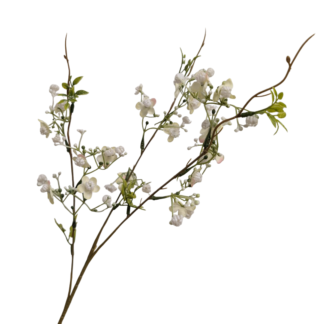 Ivory Plum Blossom Branch