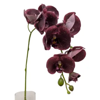 7 Bloom Burgundy Real Feel Orchid