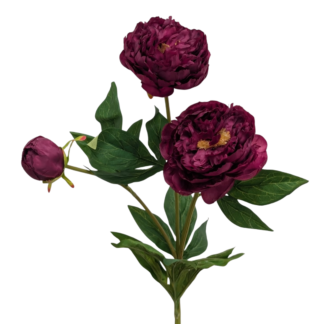 3 Head Burgundy Silk Peony