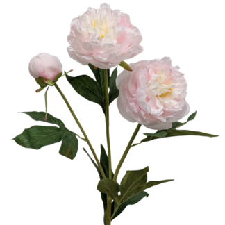 3 Head White/Pink Silk Peony