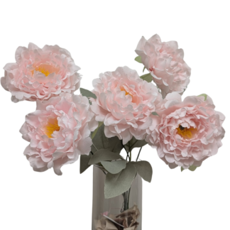 Light Pink Open Peony Bunch 5 Bloom