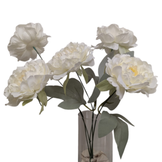 Ivory Open Peony Bunch 5 Bloom