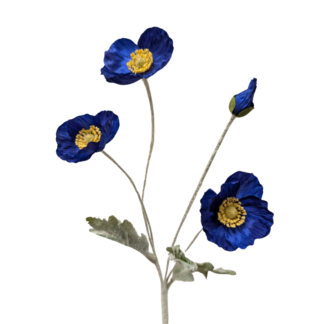3 Head Dark Blue Poppy