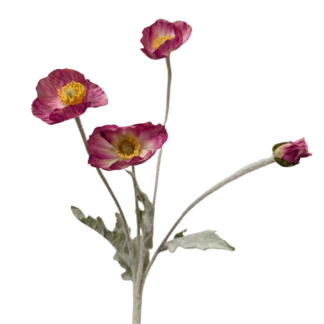 3 Head Bright Pink Poppy