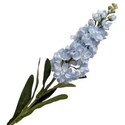 Single Stem Stock - Light Blue | Calgary Event Wholesale Wedding And ...