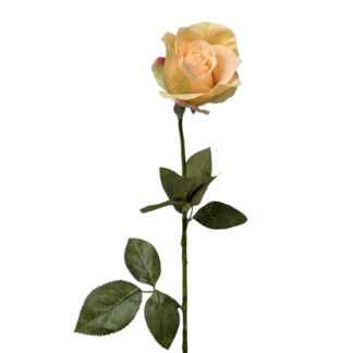 Champagne Single Stem Real Feel Diana Rose