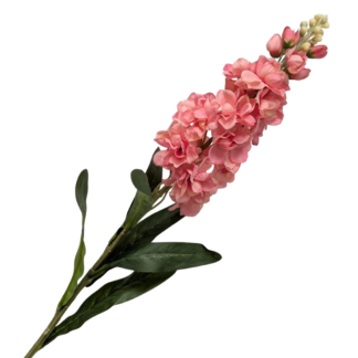 Coral HQS Single Stem Stock