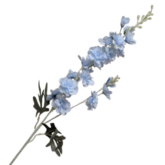 Light Blue Delphinium