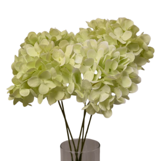 Petite 5 Head Small Petal Light Green Hydrangea