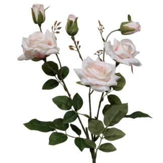 6 Head White/Pink Edge Single Stem Star Spray Rose