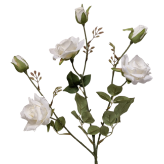 6 Head White Single Stem Star Spray Rose