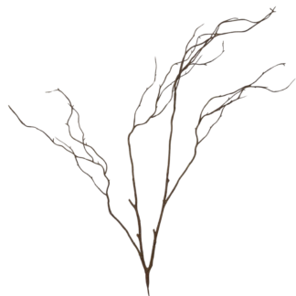 110cm Brown Wired Willow Branch
