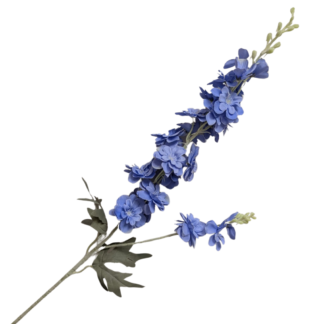 Periwinkle Delphinium