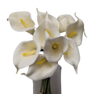 9pc Calla Lily Bunch - White