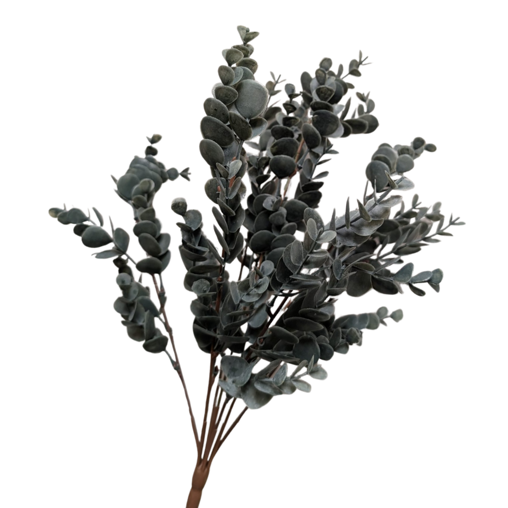 Baby Eucalyptus Branch – Dusty Green