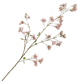Jasmine - Pink