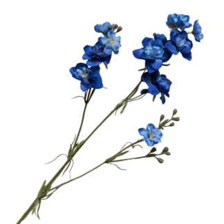 Larkspur - Dark Blue