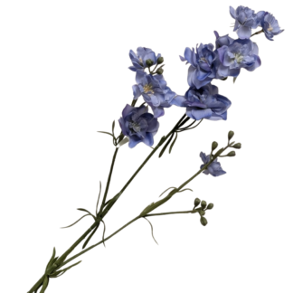 Larkspur - Periwinkle