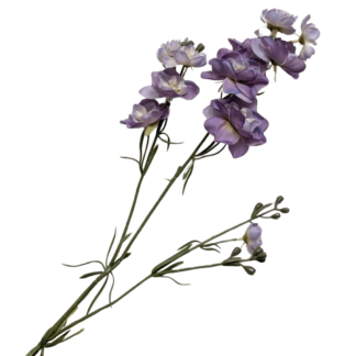 Larkspur - Purple