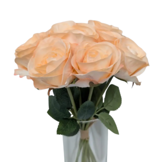 9pc Single Stem Rose Bunch - Peach