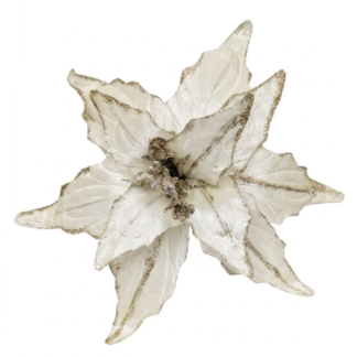 Velvet Poinsettia - Ivory/Gold