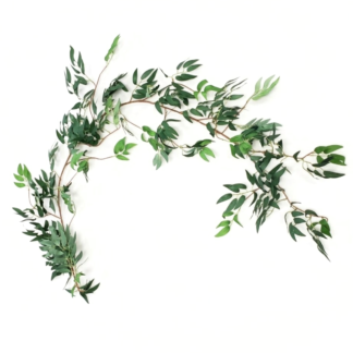 Italian Ruscus Garland - Dark Green