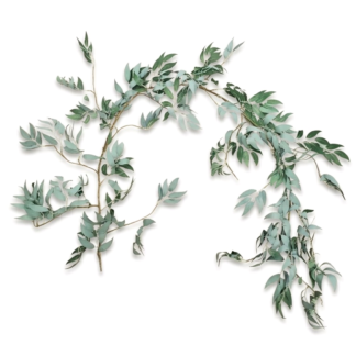 Italian Ruscus Garland - Dusty Green